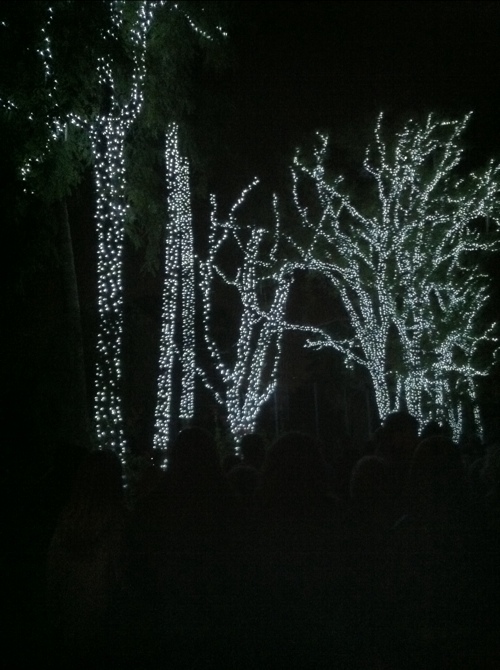 20111222-081842.jpg