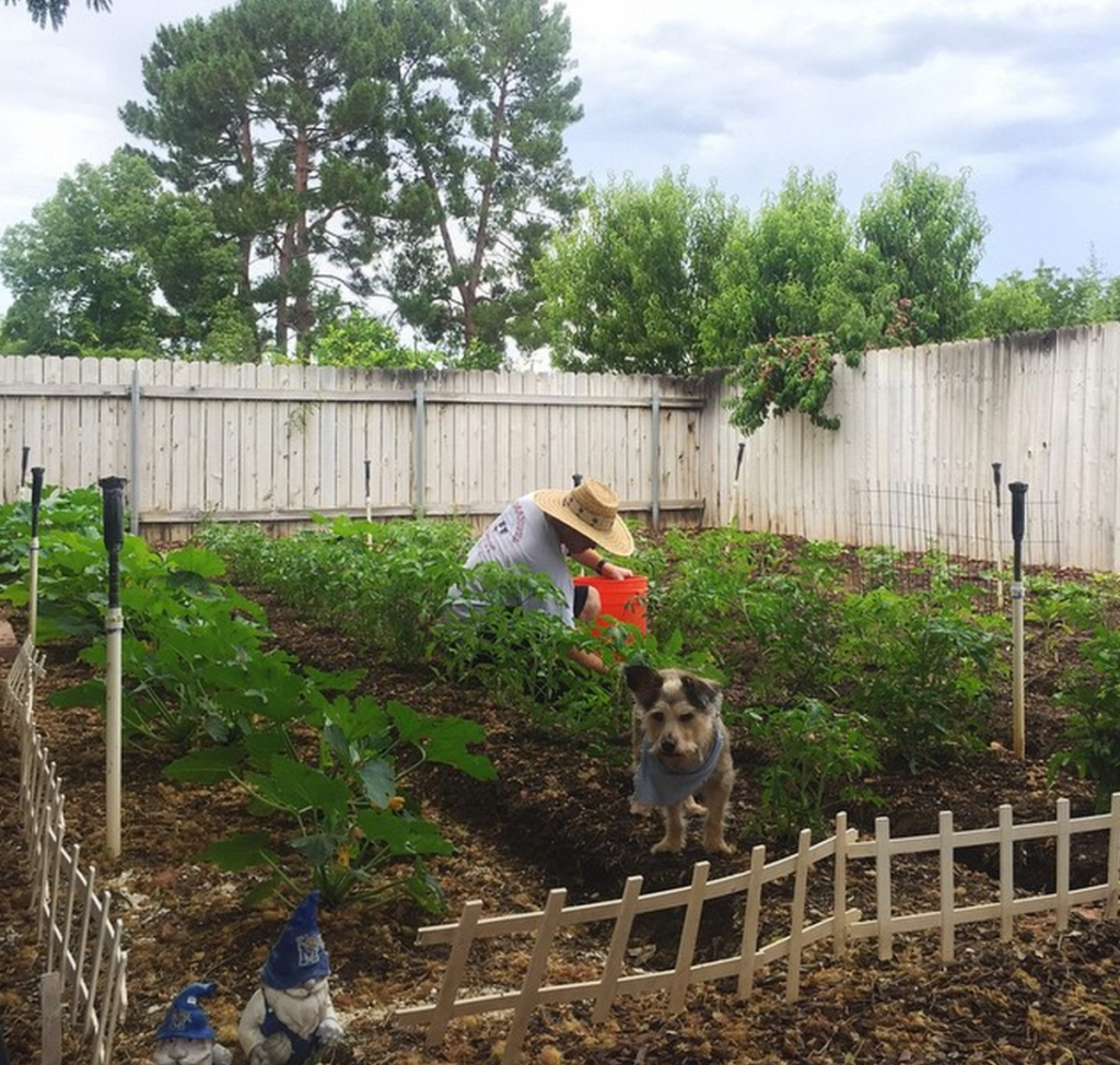 Screen Shot 2015-07-03 at 6.50.50 AM