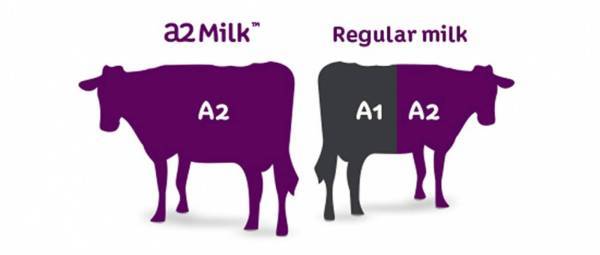 a2-milk-difference