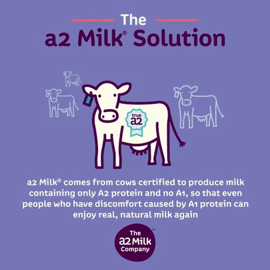 a2-Milk-Infographic